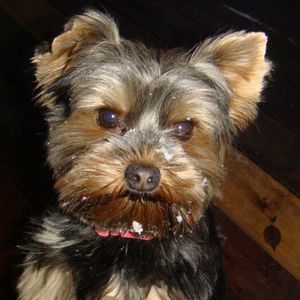 Meet your Posher, Michelle